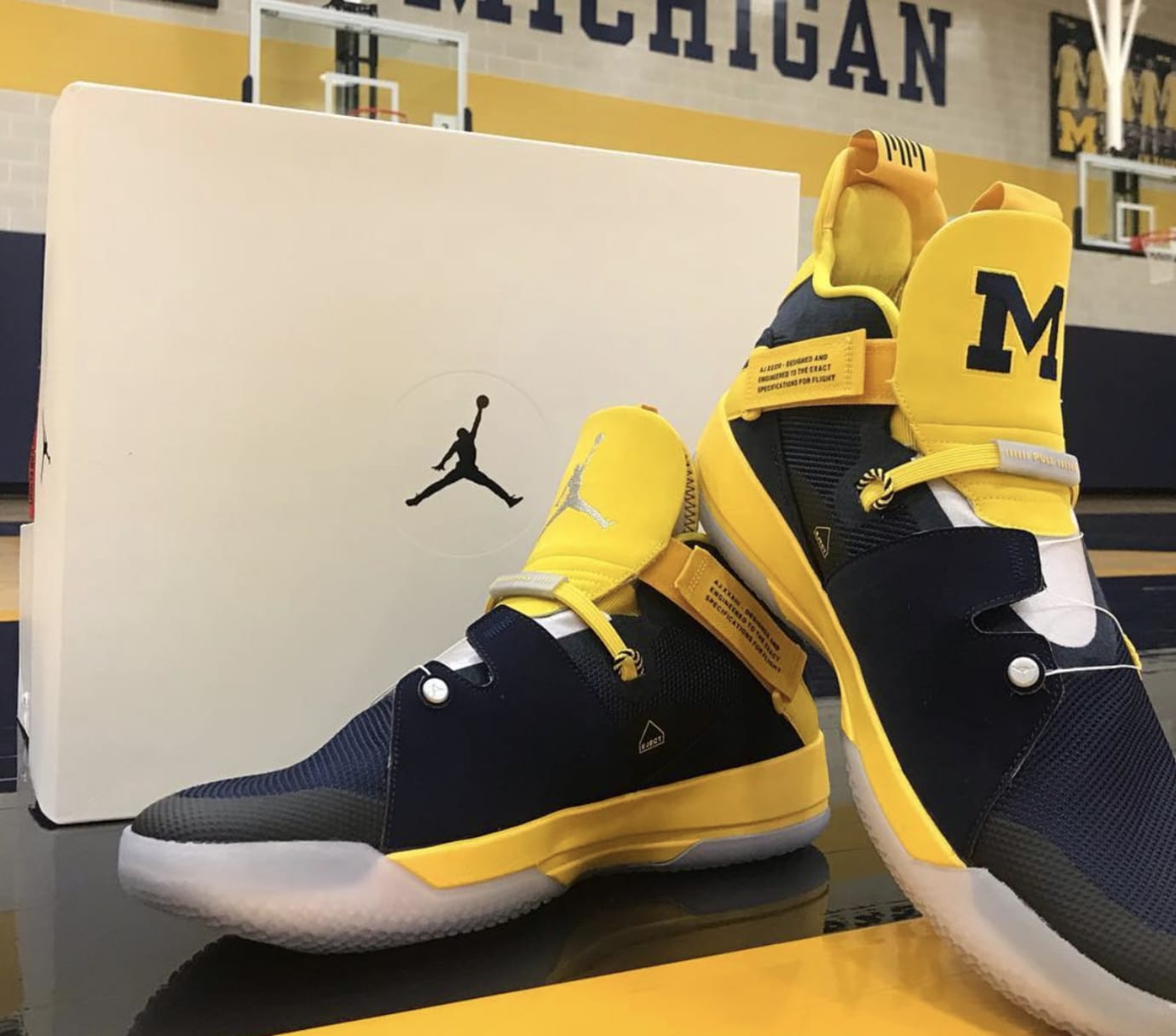 michigan jordan basketball shoes