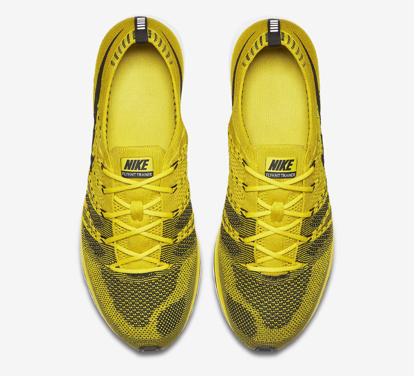 flyknit trainer raptors