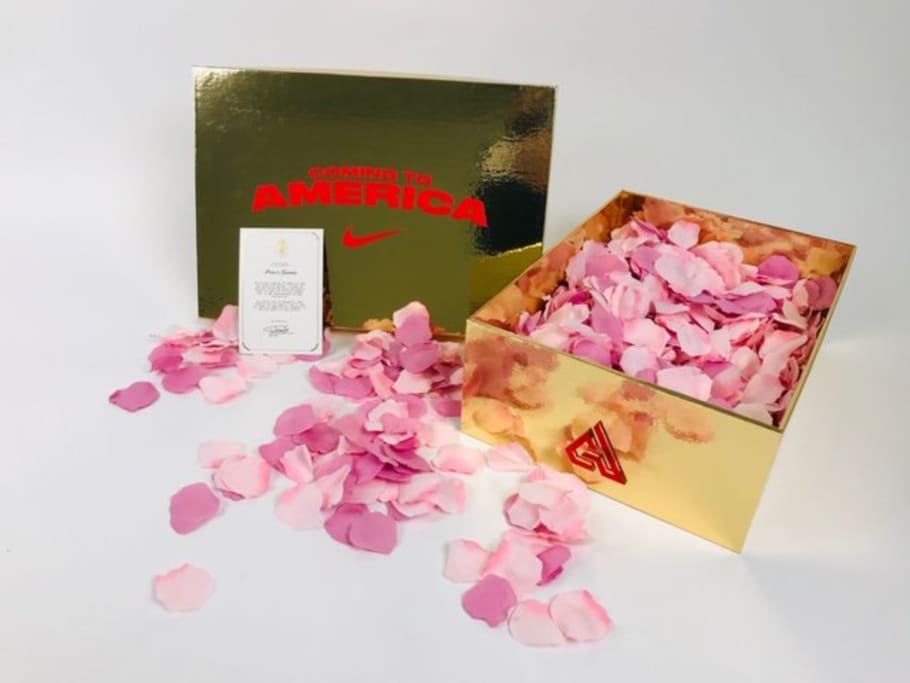 nike air zoom freak 1 coming to america