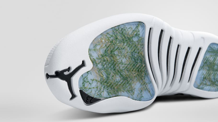 jordan 12 basketball leather