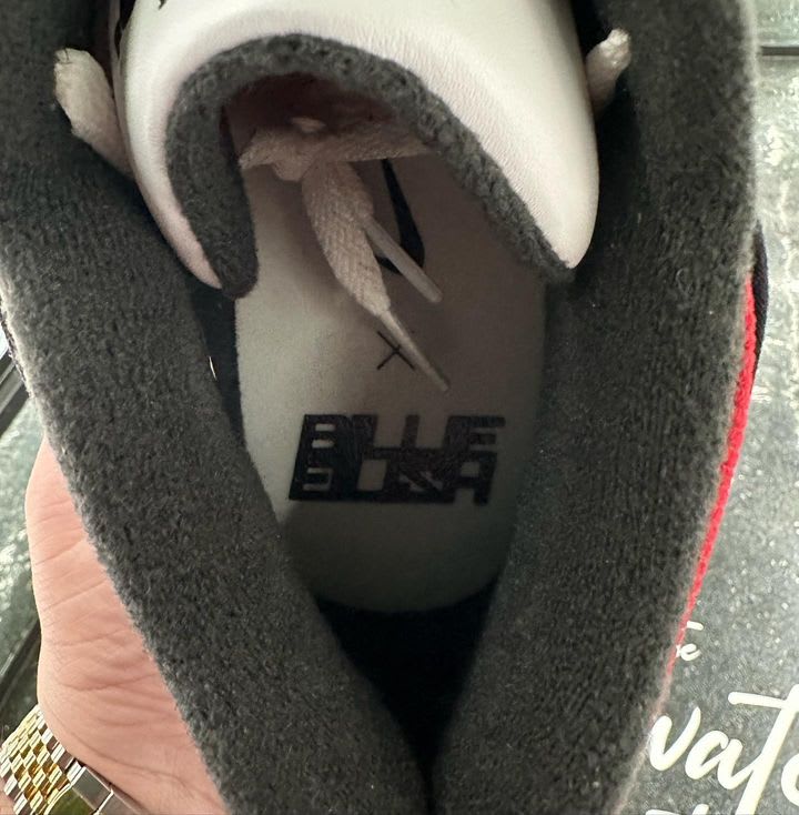 Billie Eilish x Nike Alpha Force Low Collab