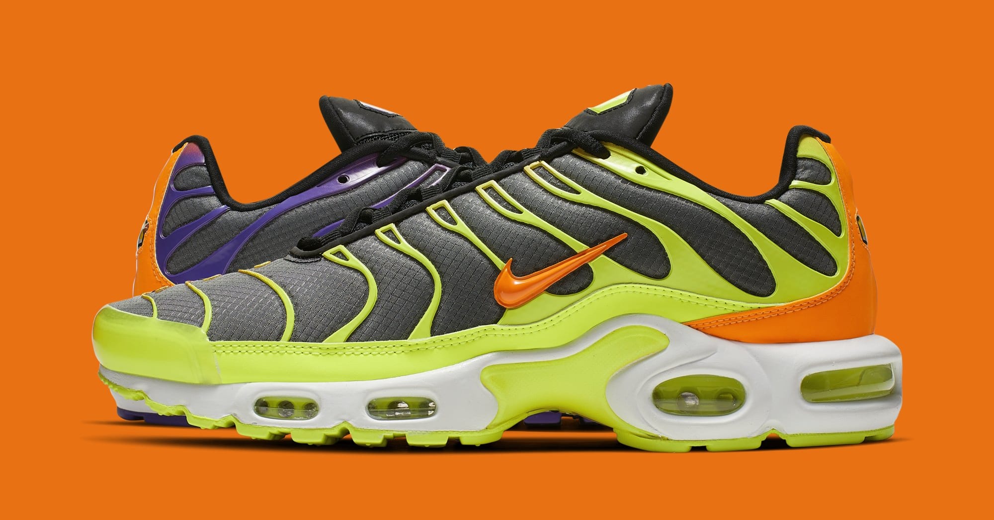 nike air max plus color flip