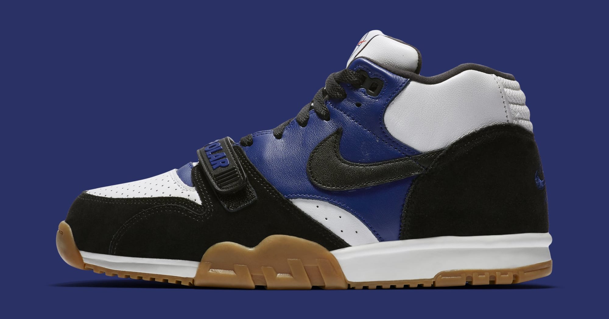 nike sb air trainer polar