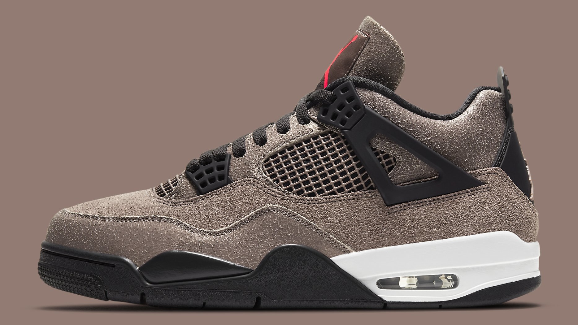 Air Jordan 4 IV Taupe Haze Release Date DB0732-200 Profile
