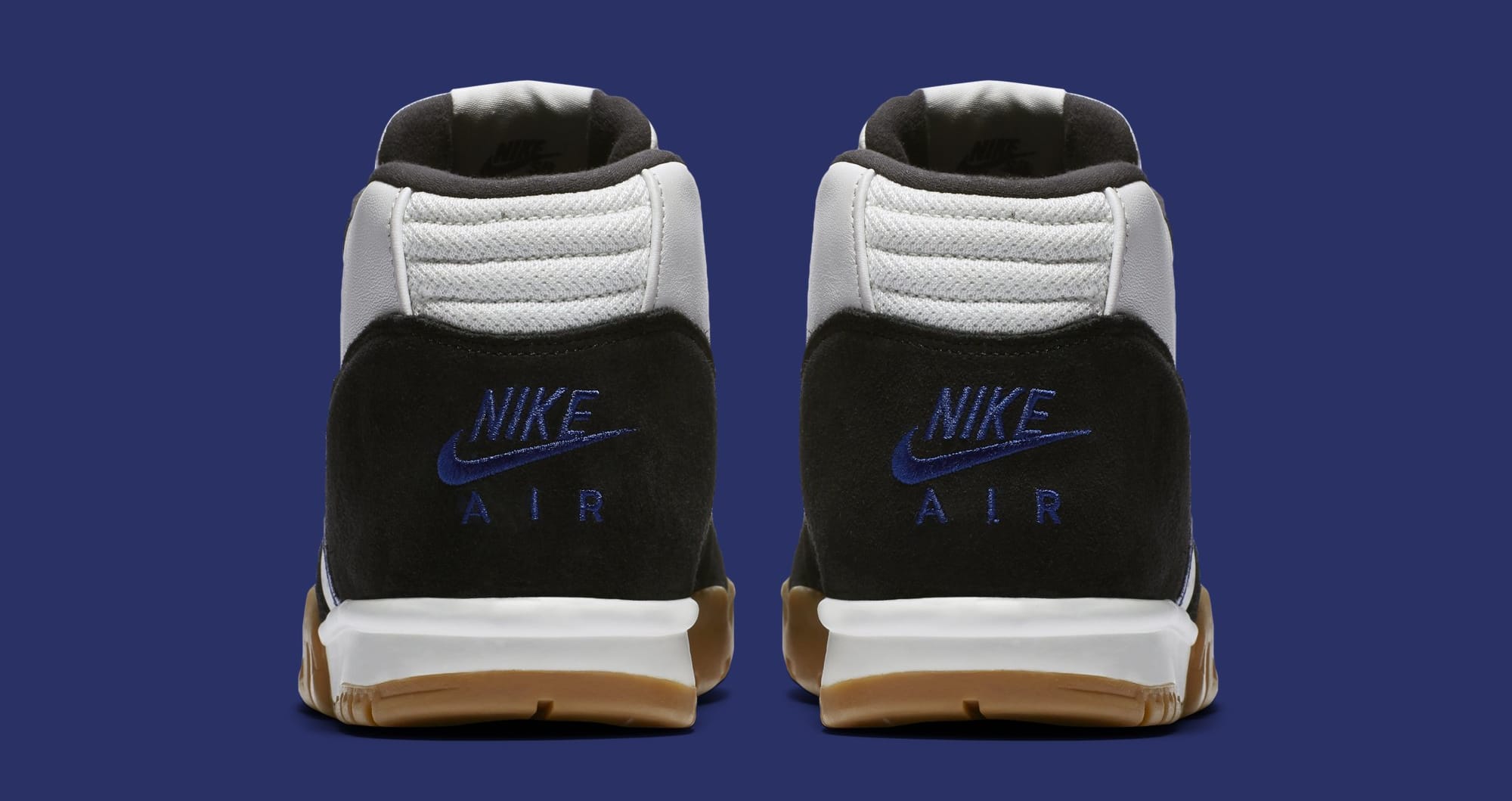 polar skate co x nike sb air trainer 1
