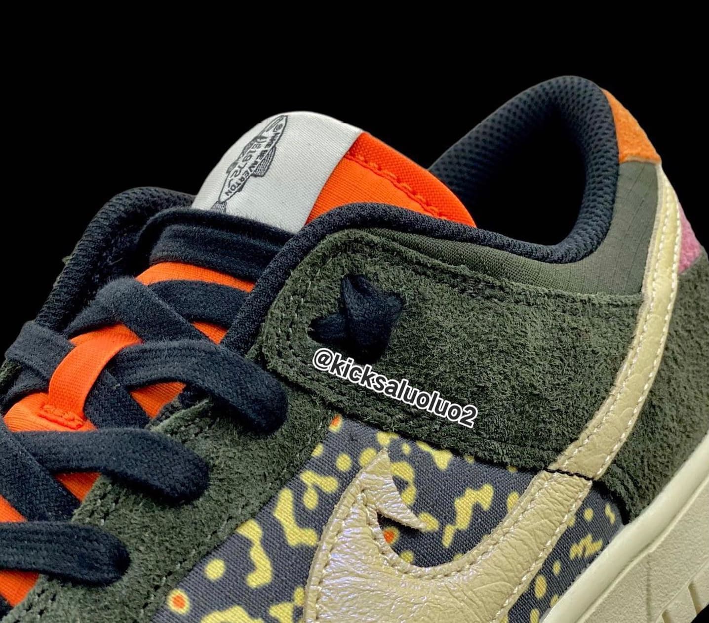 Nike Dunk Low 'Rainbow Trout' 2023 Release Date & Images Sole Collector