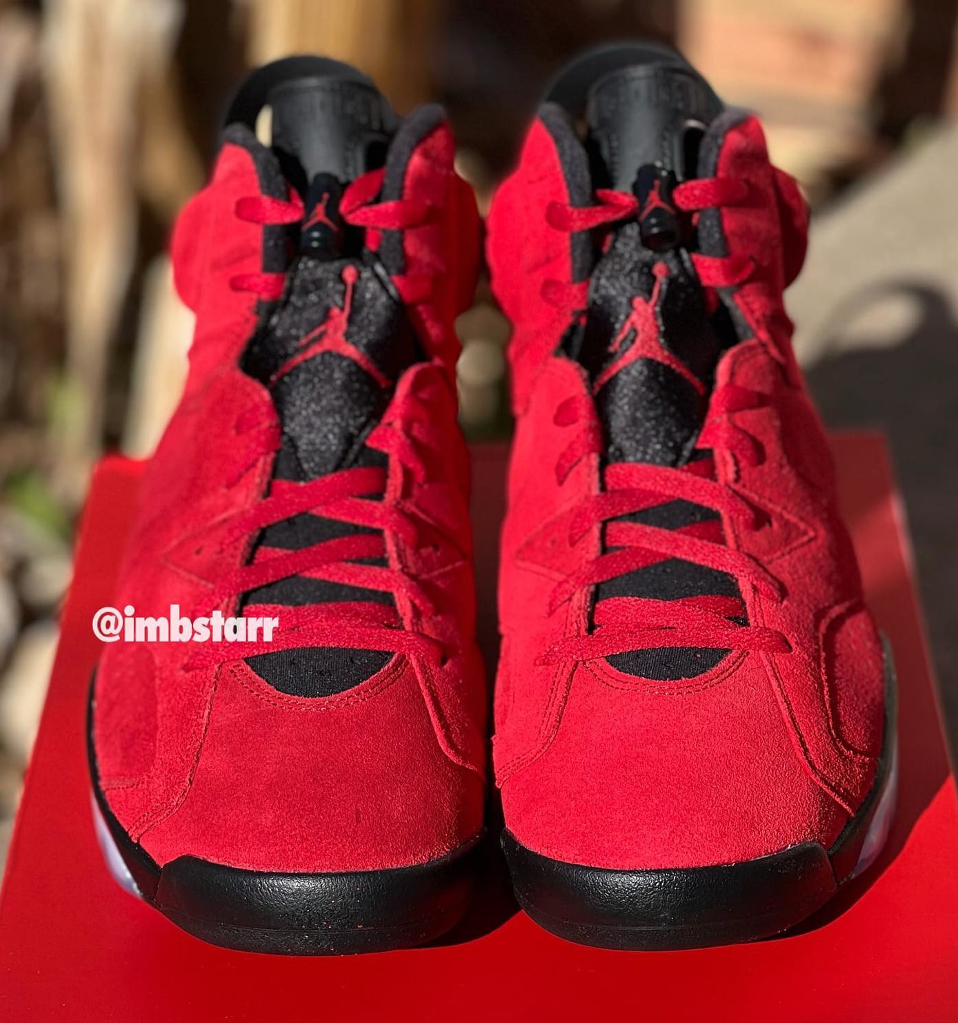 toro jordan 6