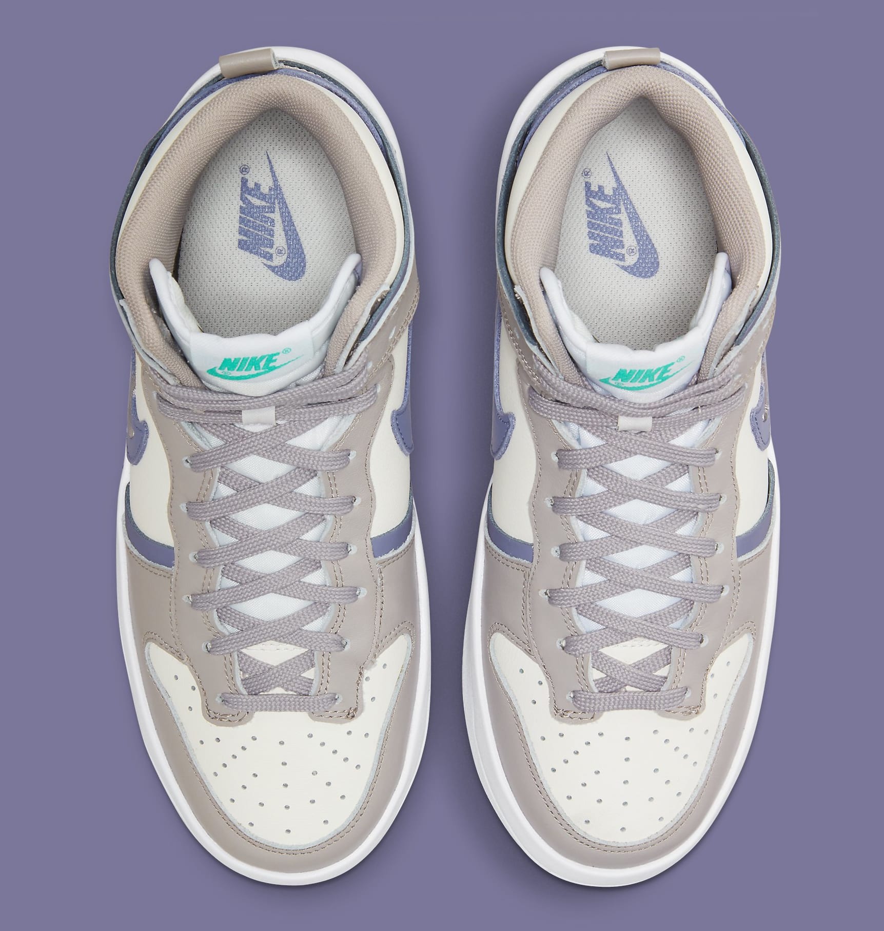 dunk iron purple