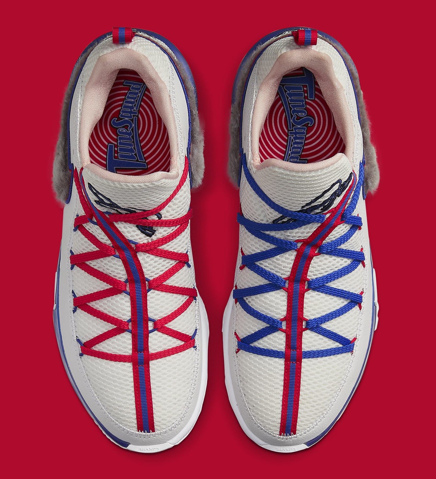 lebron 17 tune squad low