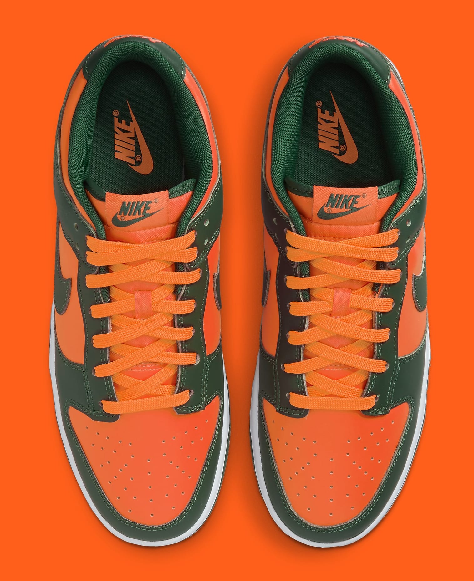 miami hurricane nike dunk