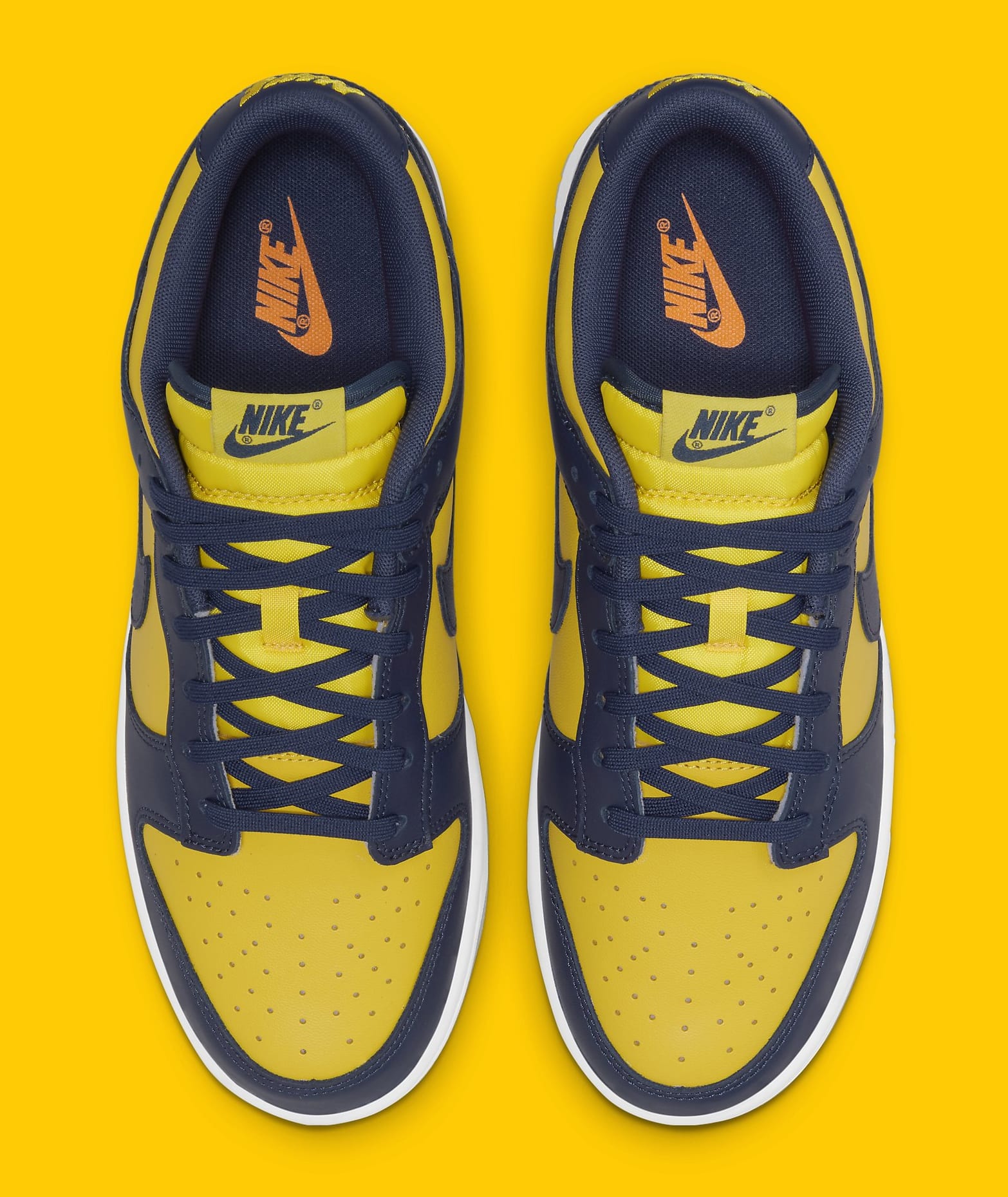 michigan blue dunks