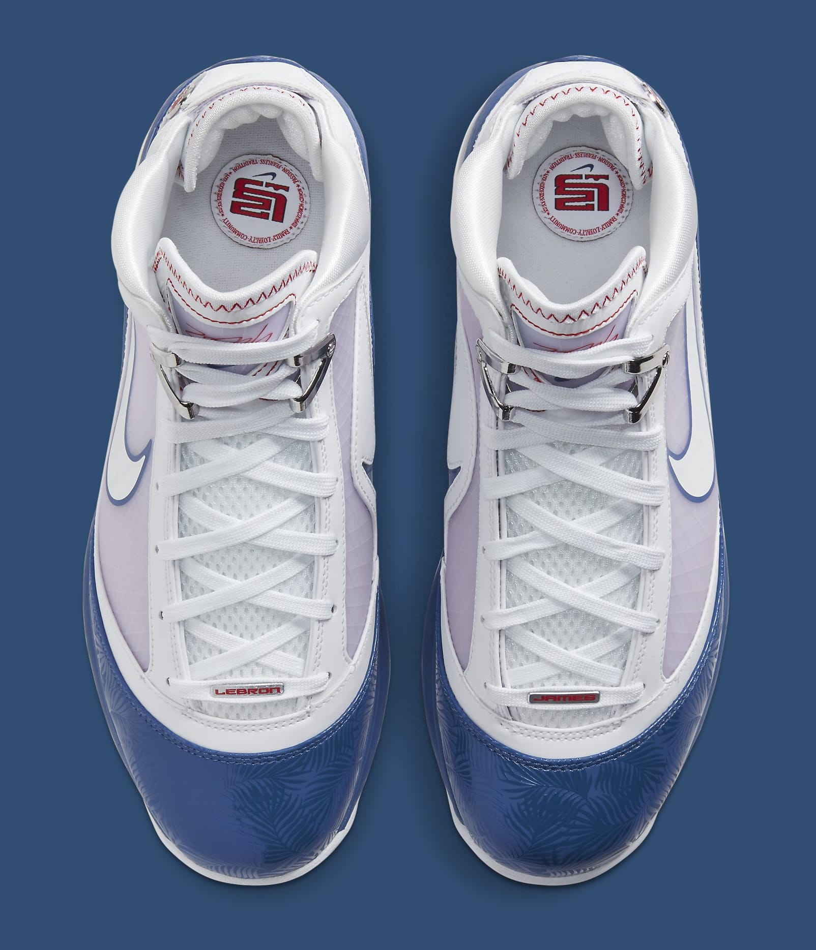 lebron dodgers 7