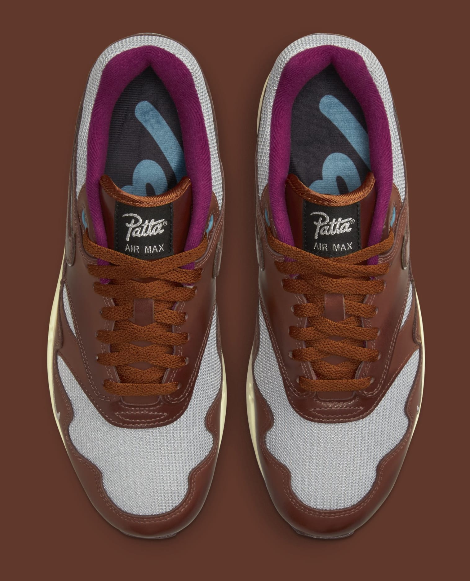Patta x Nike Air Max 1 'Brown' DO9549 200 Top