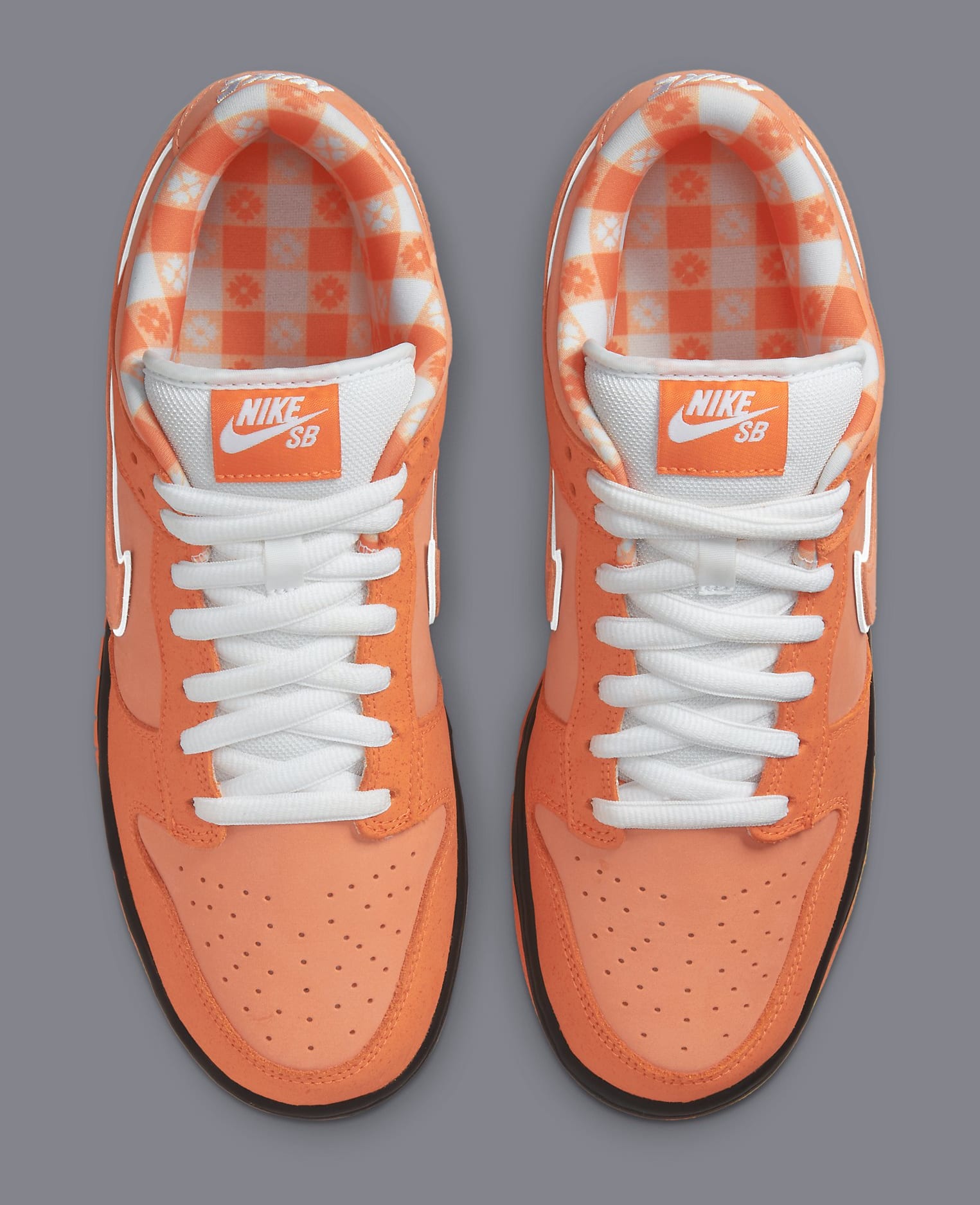 Concepts x Nike SB Dunk Low 'Orange Lobster' FD8776 800 Top