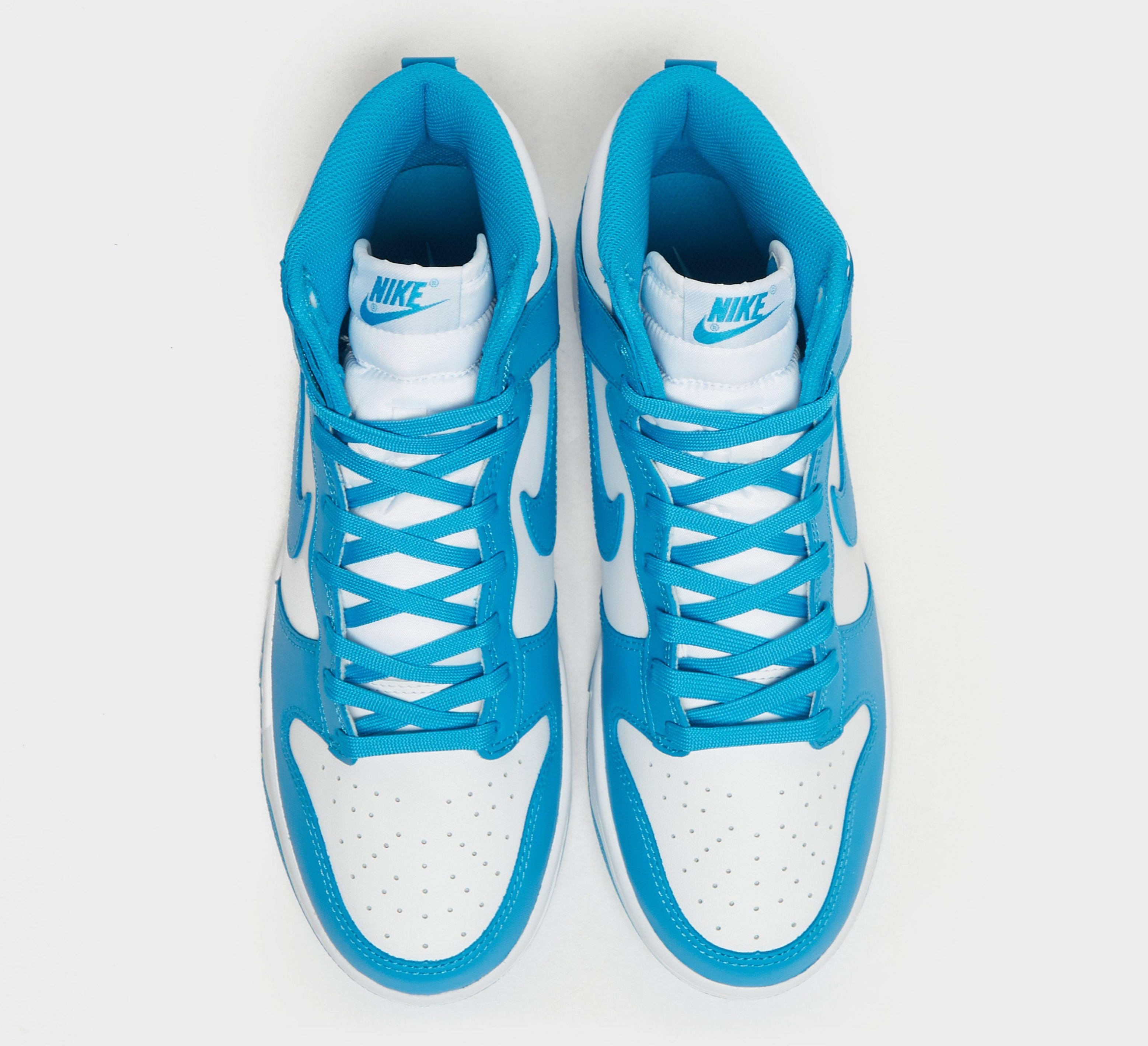 nike dunk michigan