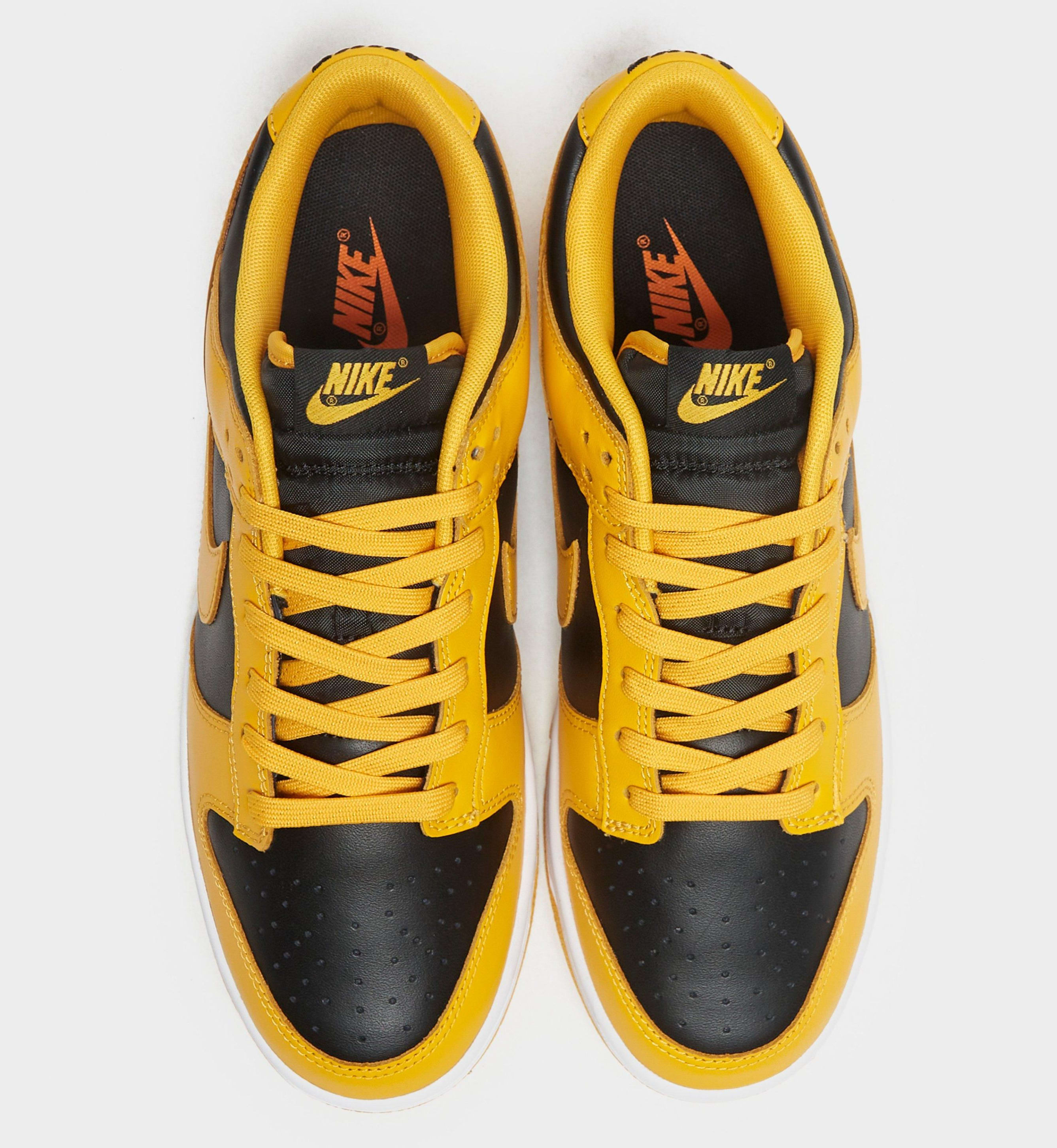 nike dunk iowa