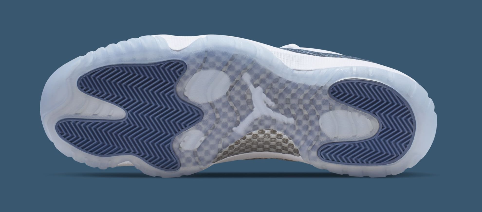 jordan 11 snake blue