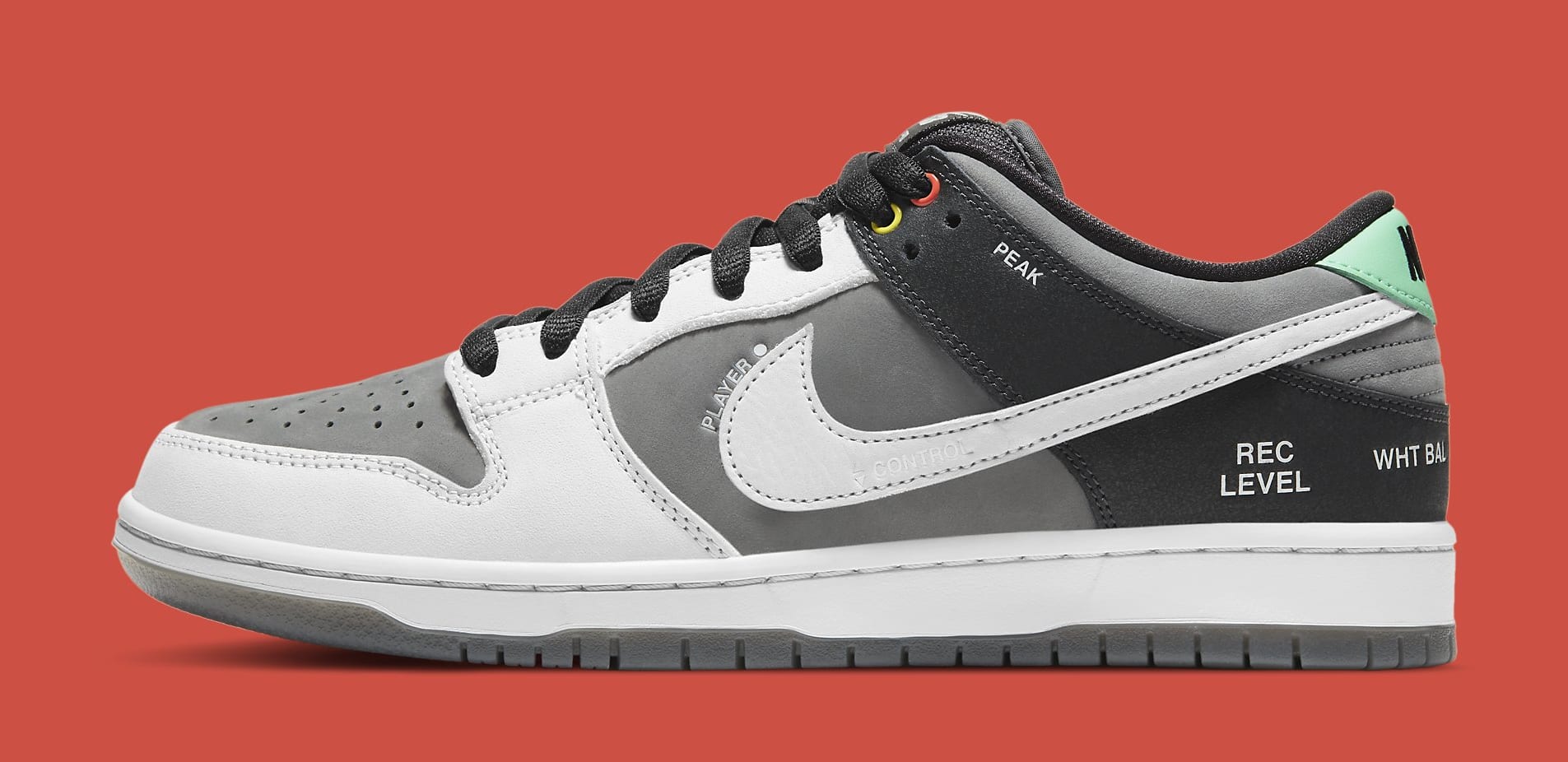 nike sb dunk low pro vx1000 camcorder