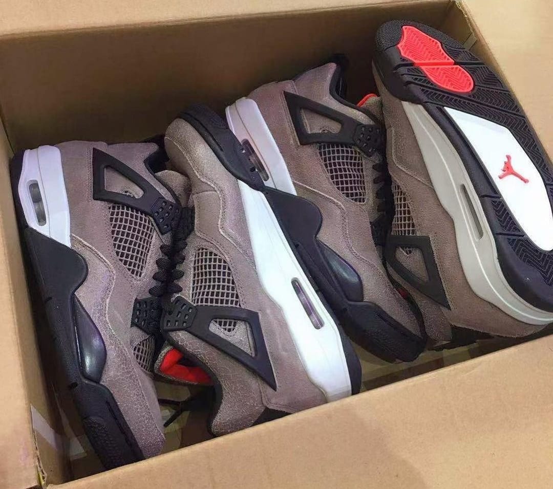 Air Jordan 4 Retro 'Taupe Haze' DB0732-200 First Look