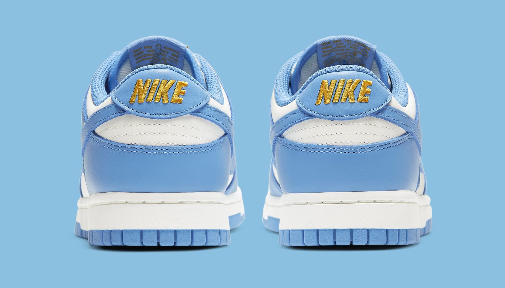dunk low womens coast