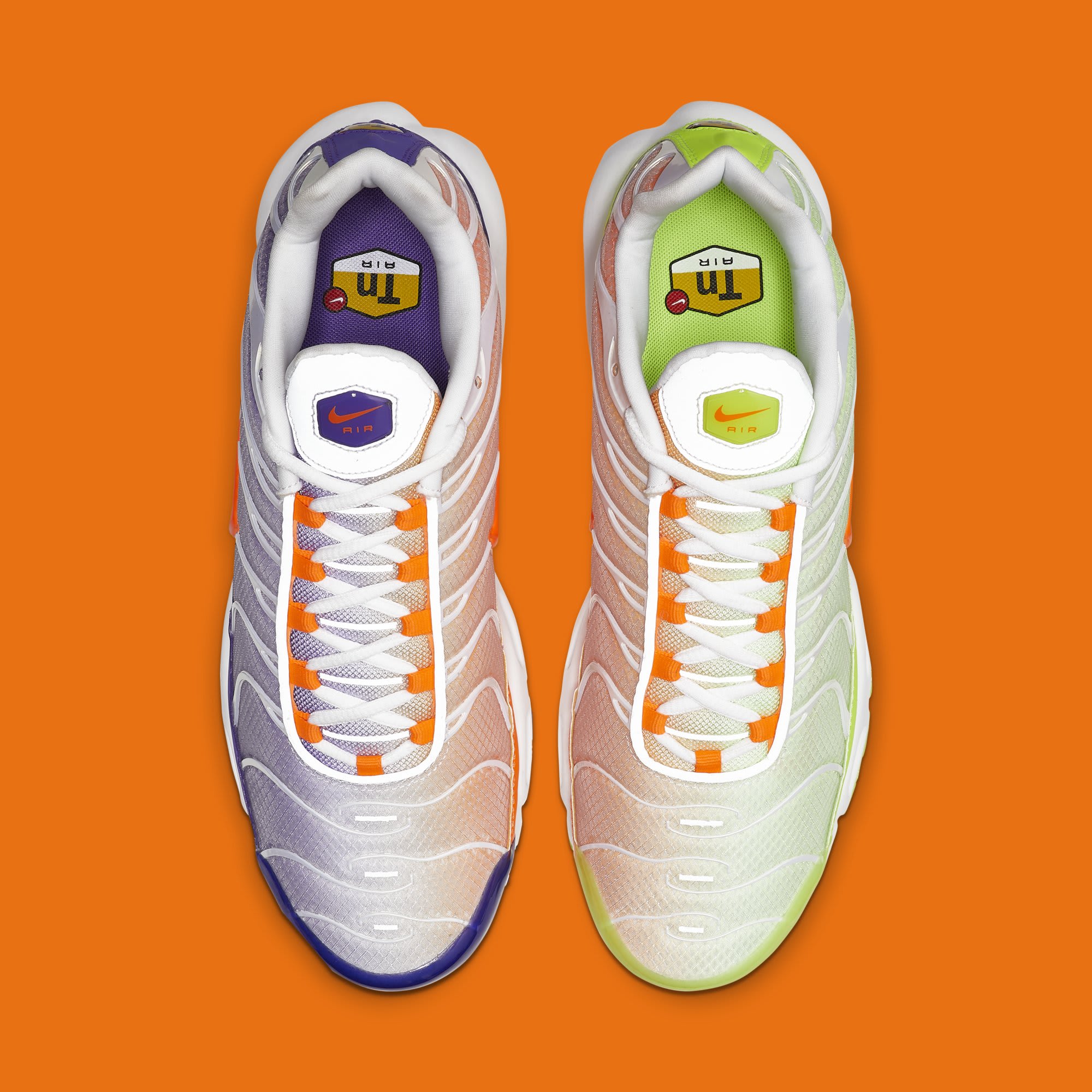 nike air max plus color flip