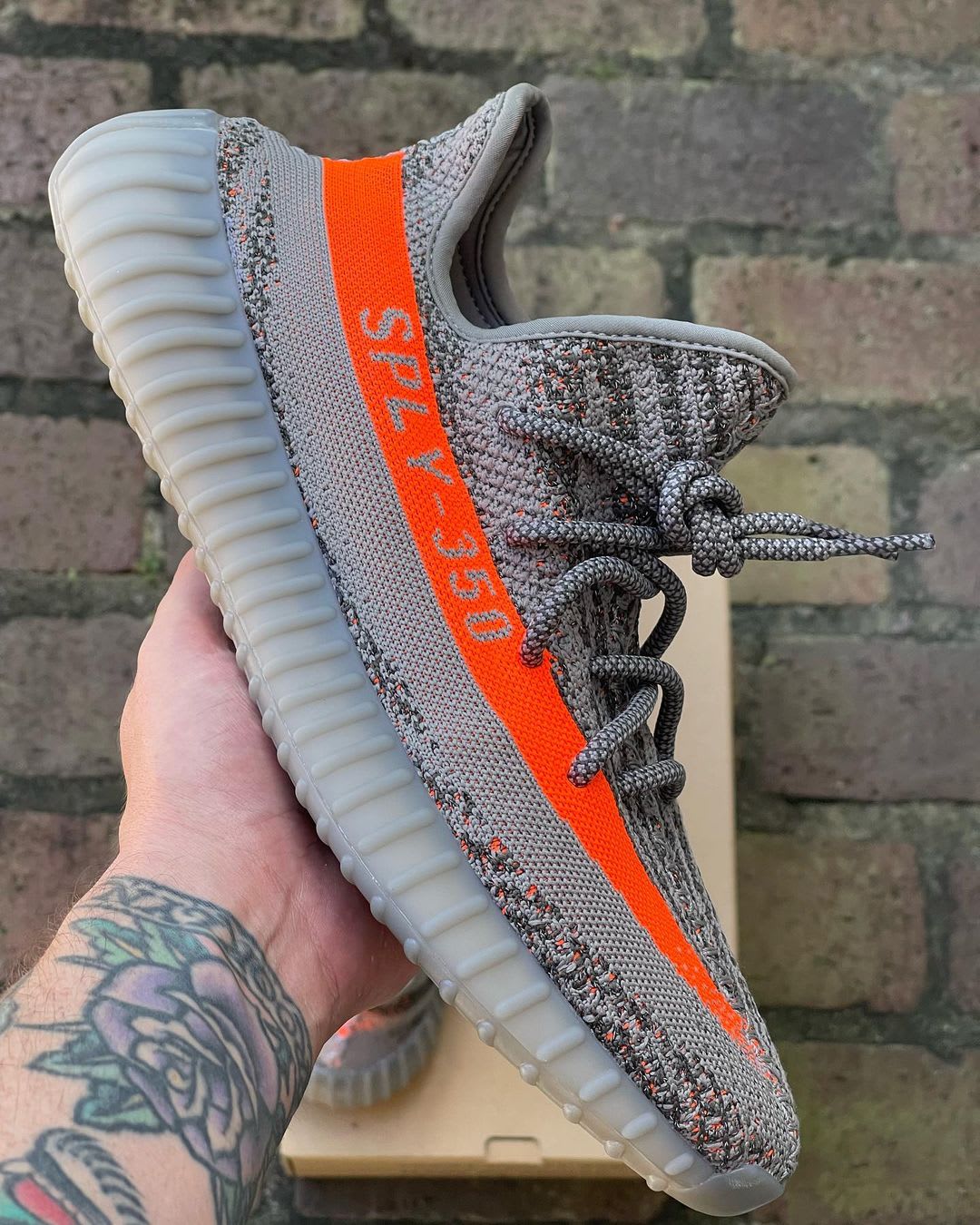 yeezy beluga restock