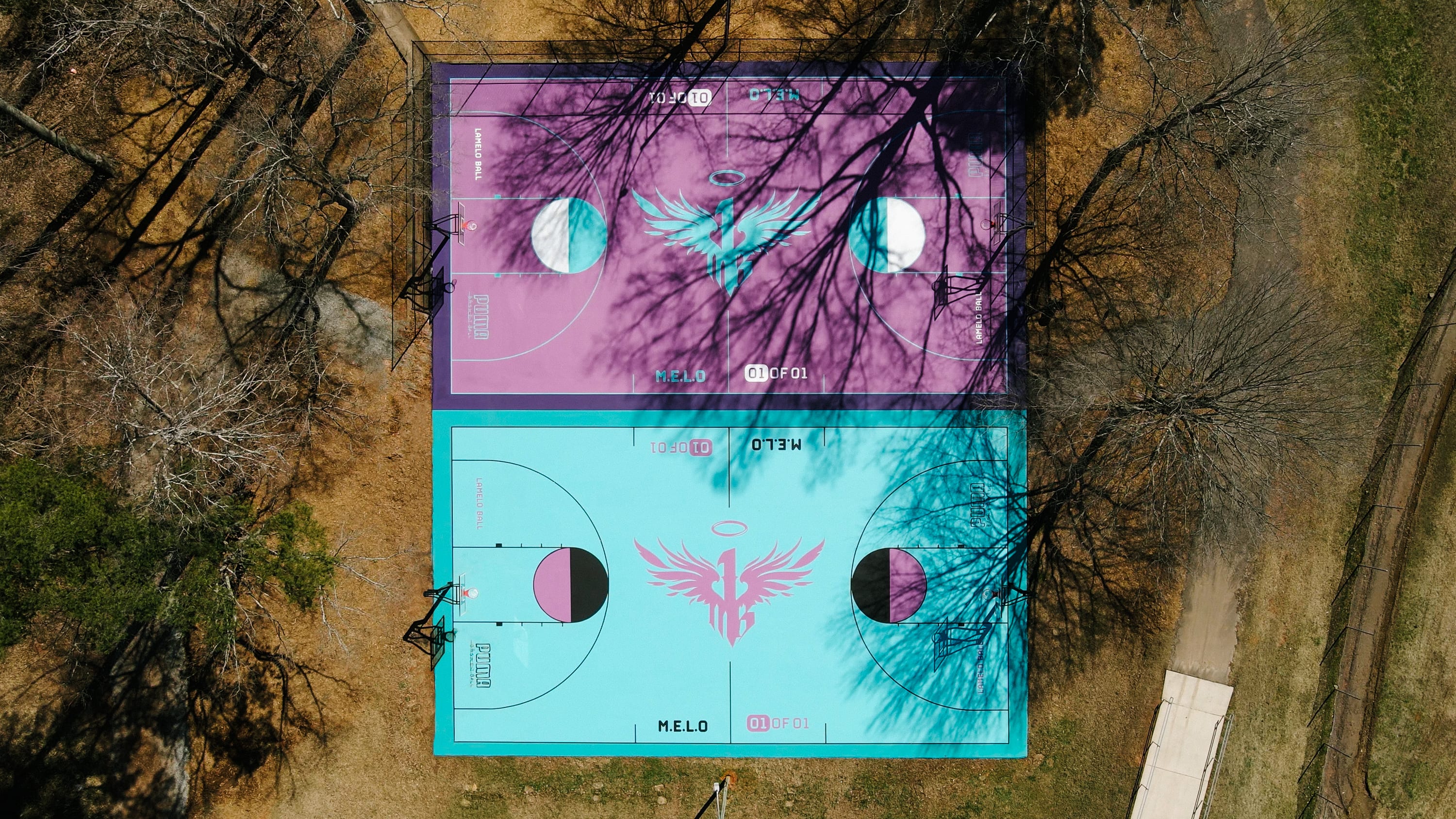 lamelo ball teal shoes