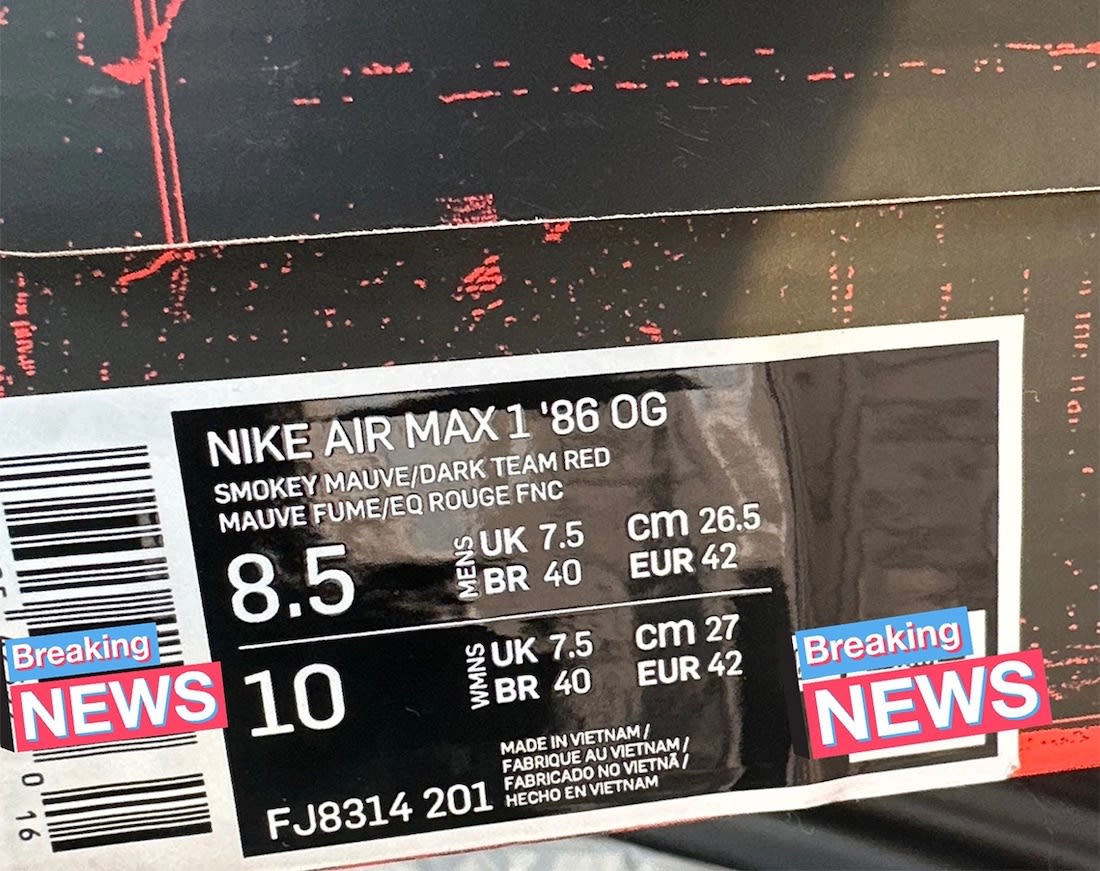 Nike Air Max 1 '86 OG Smokey Mauve Release Date FJ8314-201 Box