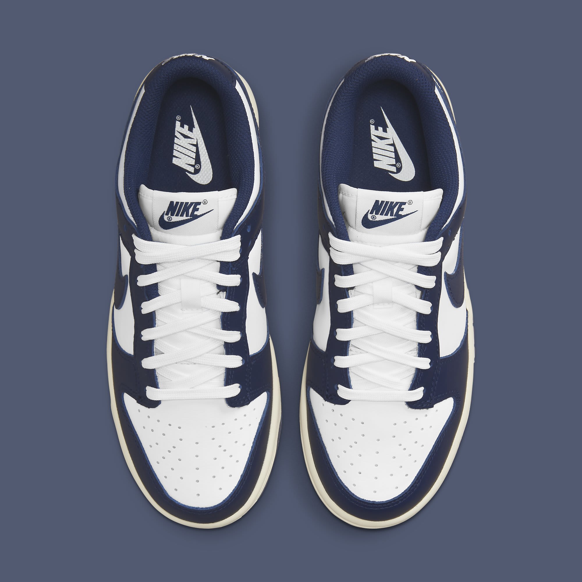 navy blue nike dunks