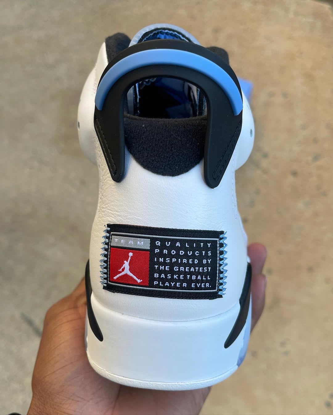 back of jordan 6