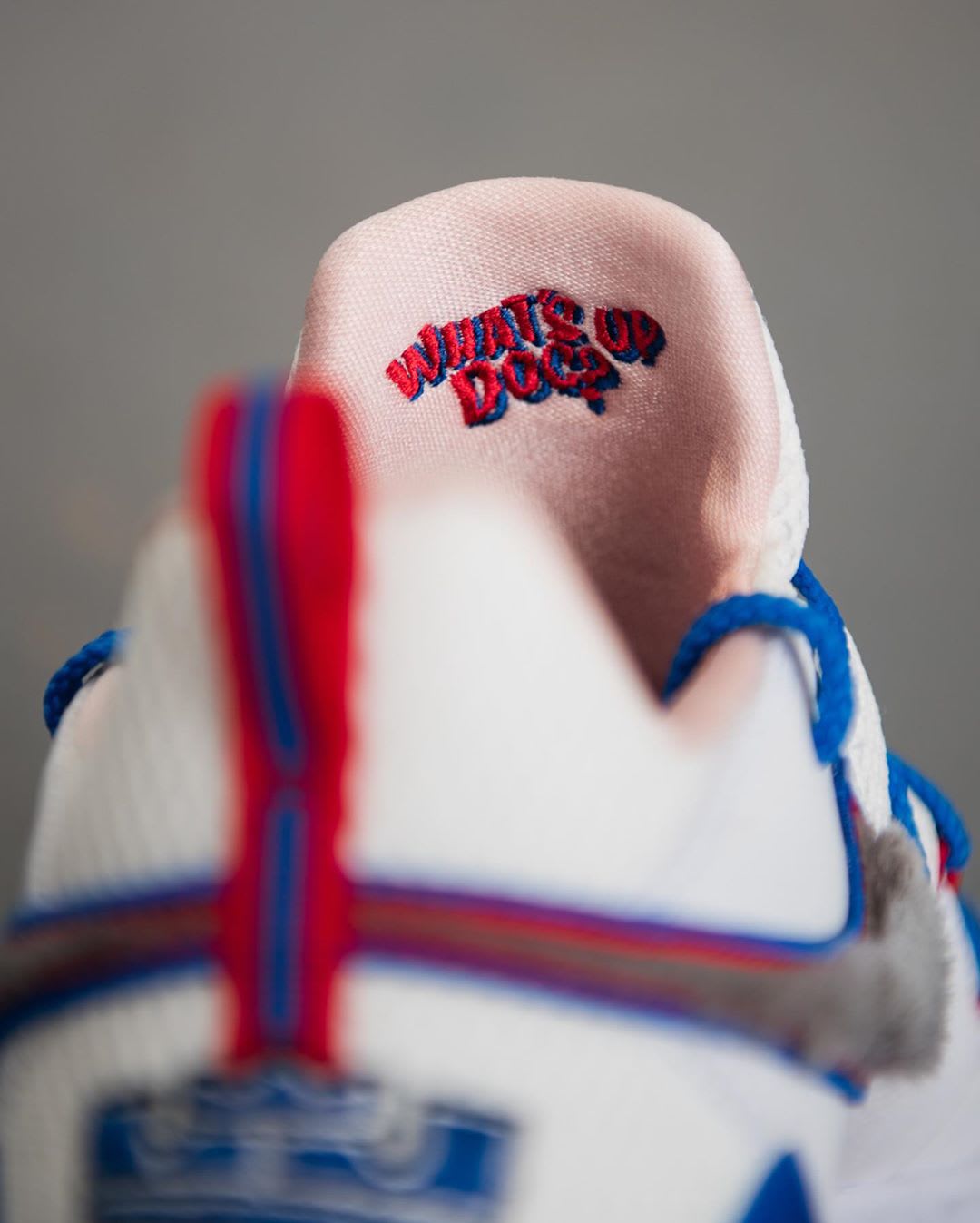 toon squad lebrons
