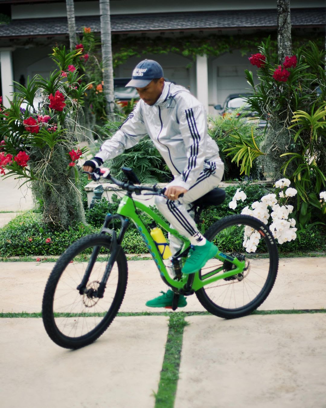 Pharrell X Adidas Humanrace Sichona Sneaker Release Date Sole Collector